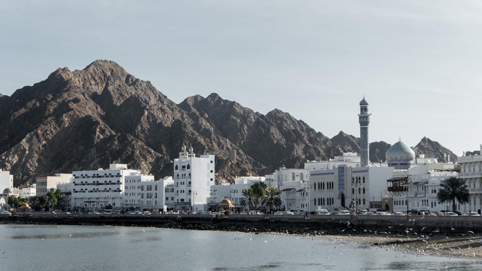 Muscat coastline